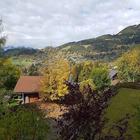 Appartement - Bristol Hotel Villars-sur-Ollon Esterno foto
