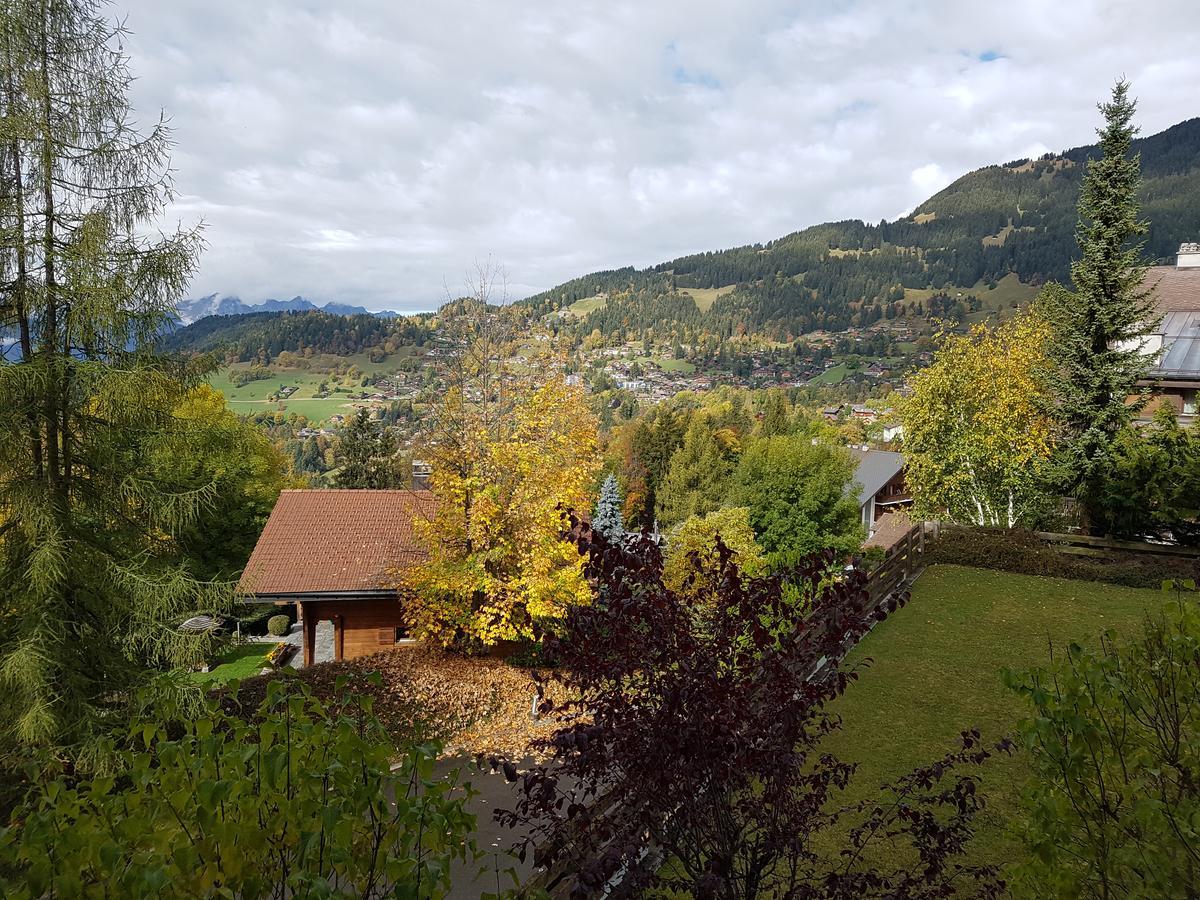 Appartement - Bristol Hotel Villars-sur-Ollon Esterno foto